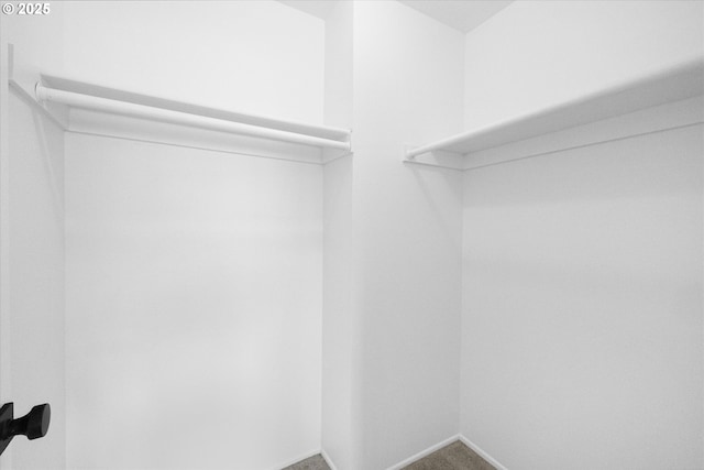 86 Kingsgate Rd Unit D204, Lake Oswego, OR 97035 - walk in closet featuring carpet floors