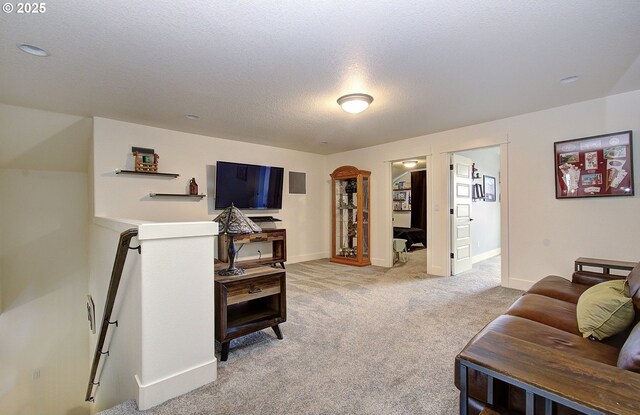 spacious closet featuring carpet