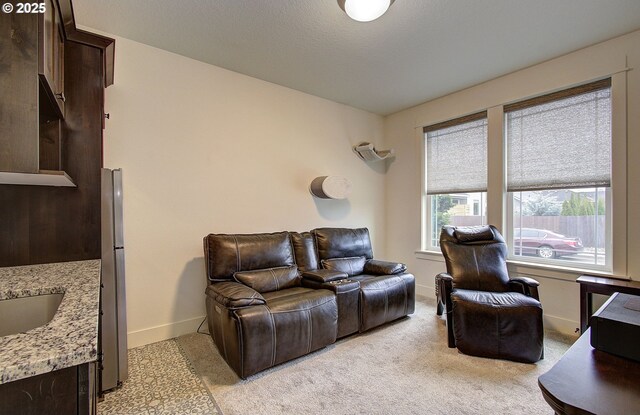 living room featuring light colored carpet and a textured ceiling