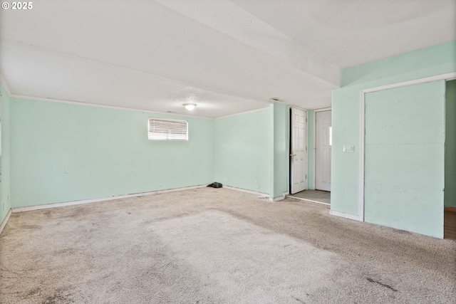 basement featuring carpet floors