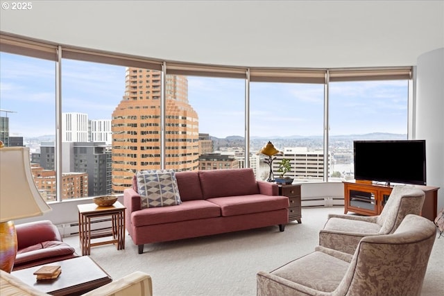 living room featuring a baseboard radiator, carpet, and a baseboard heating unit