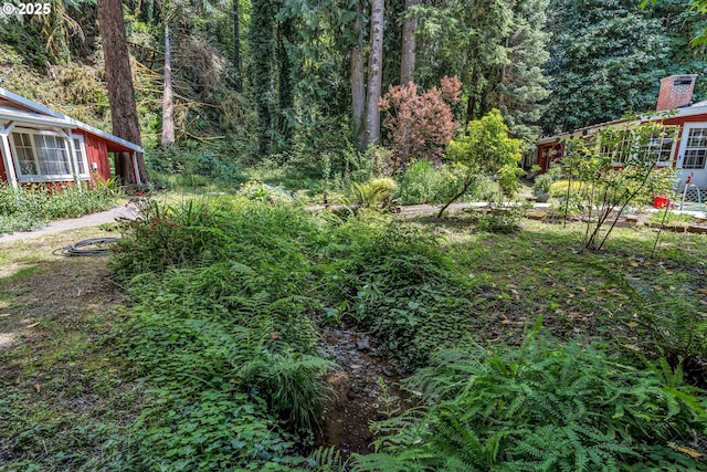 63645 E Barlow Trail Rd, Brightwood, OR 97011 - view of yard featuring a forest view