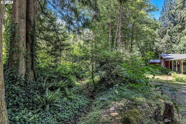 63645 E Barlow Trail Rd, Brightwood, OR 97011 - view of yard featuring a forest view