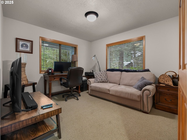 home office with carpet floors and a textured ceiling