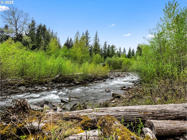 view of local wilderness