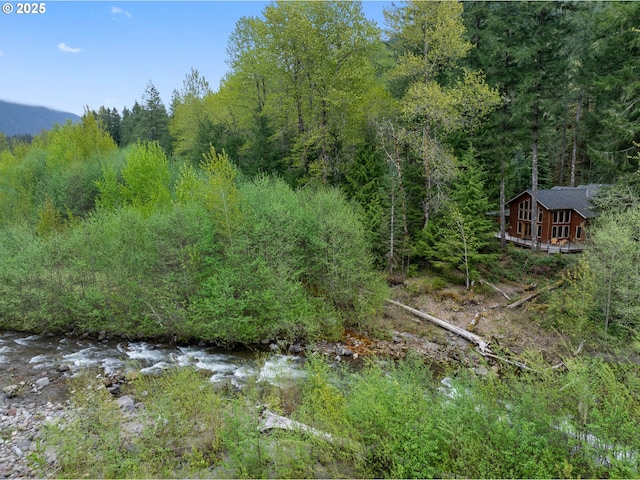 view of local wilderness featuring a forest view