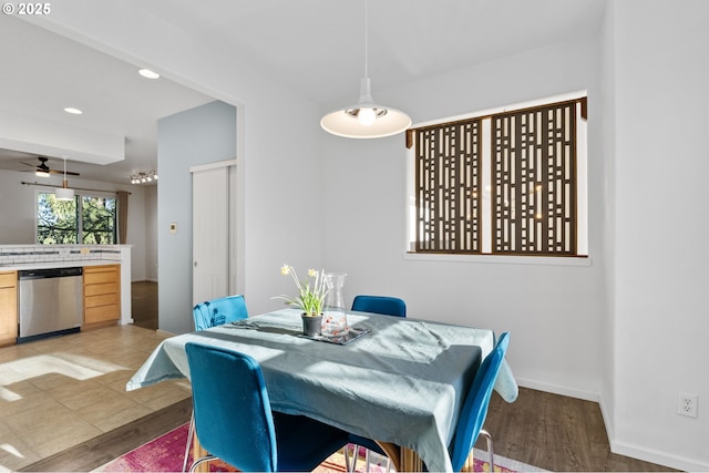 dining area with ceiling fan and light hardwood / wood-style flooring