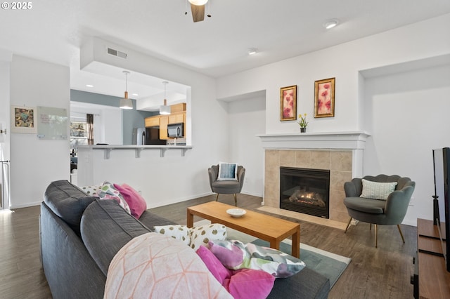 living room with a fireplace and dark hardwood / wood-style floors