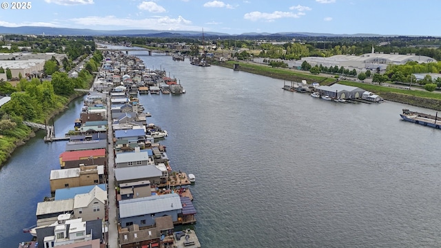 2039 N Jantzen Ave, Portland, OR 97217 - aerial view with a water view