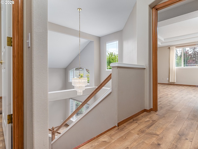 hallway featuring an inviting chandelier, hardwood / wood-style floors, an upstairs landing, and a healthy amount of sunlight
