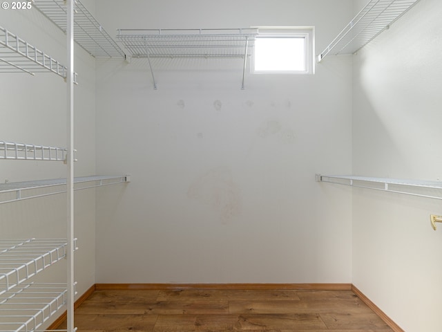 spacious closet with wood finished floors