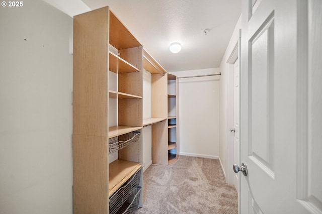 spacious closet with light carpet