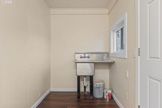 details featuring crown molding and wood-type flooring