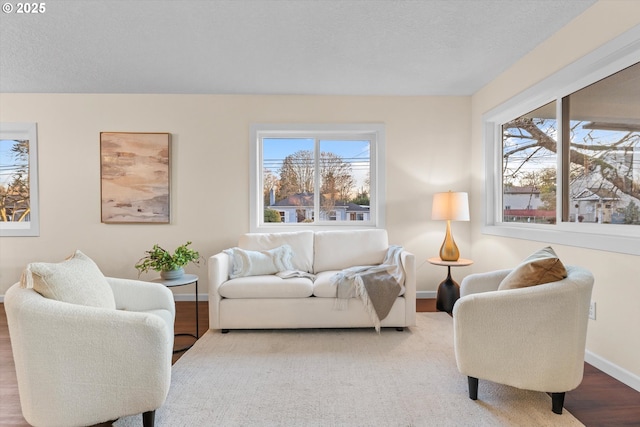 living room with hardwood / wood-style flooring