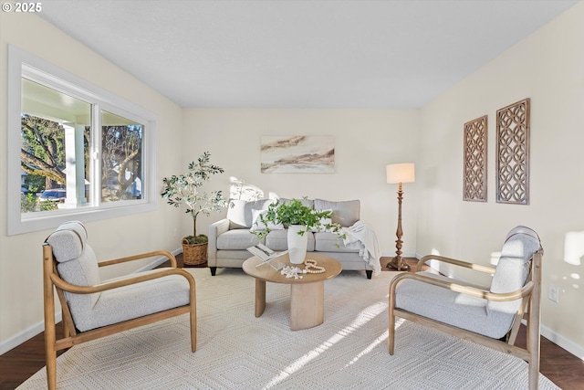 living room with hardwood / wood-style floors