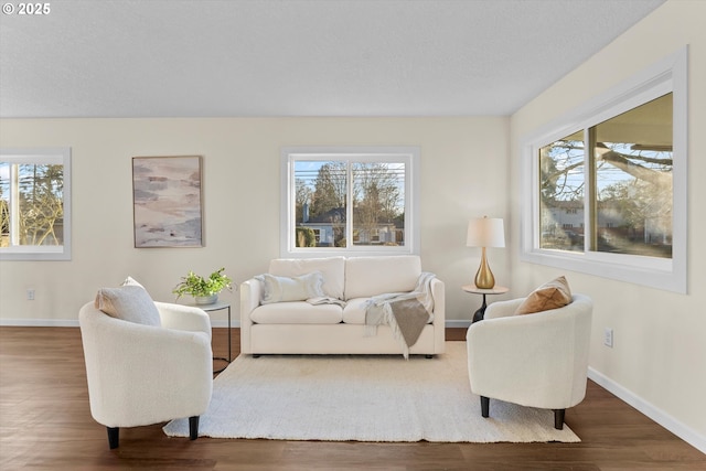 living room with hardwood / wood-style flooring and plenty of natural light