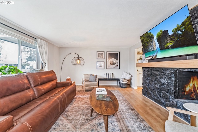 living room featuring a fireplace and light hardwood / wood-style flooring