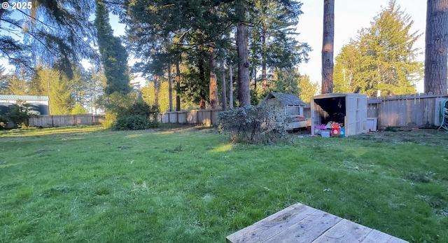 view of yard with a storage unit