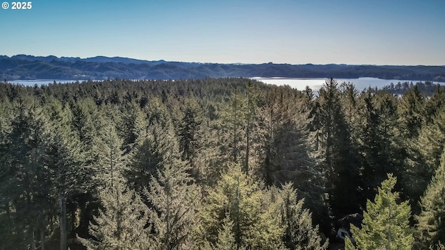 view of mountain feature with a water view