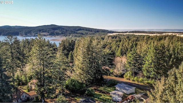 drone / aerial view featuring a water and mountain view