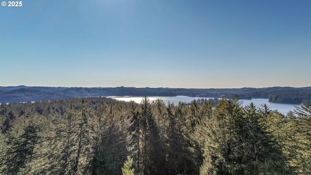 property view of mountains with a water view