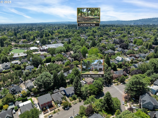 4214 NE Hassalo St, Portland, OR 97213 - aerial view of residential area