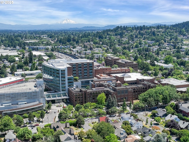 4214 NE Hassalo St, Portland, OR 97213 - bird's eye view of a mountainous background