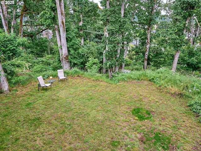 111 5th St, Silverton, OR 97381 - view of grassy yard