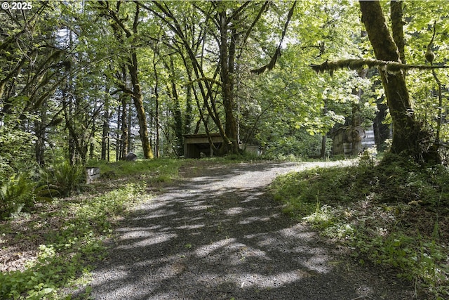 18570 Oakdale Rd, Dallas, OR 97338 - view of dirt / gravel driveway with a forest view
