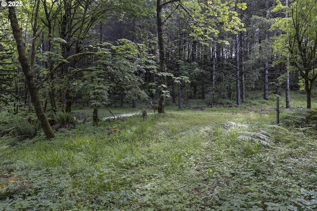 18570 Oakdale Rd, Dallas, OR 97338 - view of tree filled area
