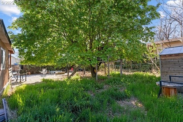 view of yard featuring a patio area