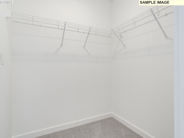 spacious closet with carpet