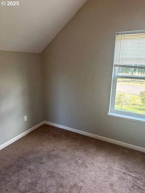 additional living space featuring carpet flooring, plenty of natural light, and lofted ceiling