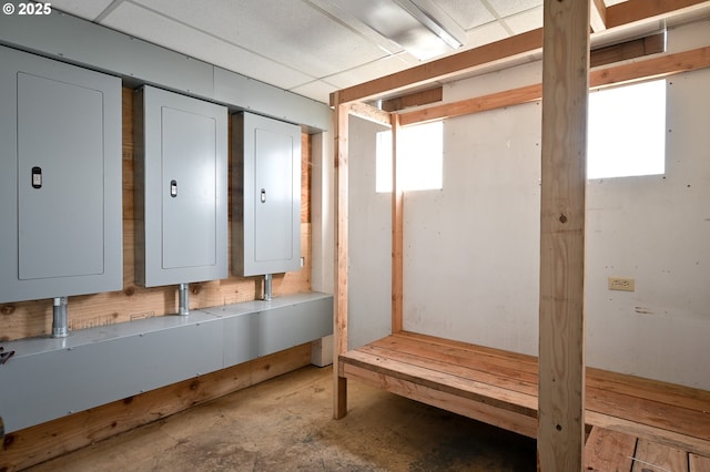 basement featuring a healthy amount of sunlight and electric panel