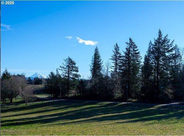 view of yard featuring a mountain view