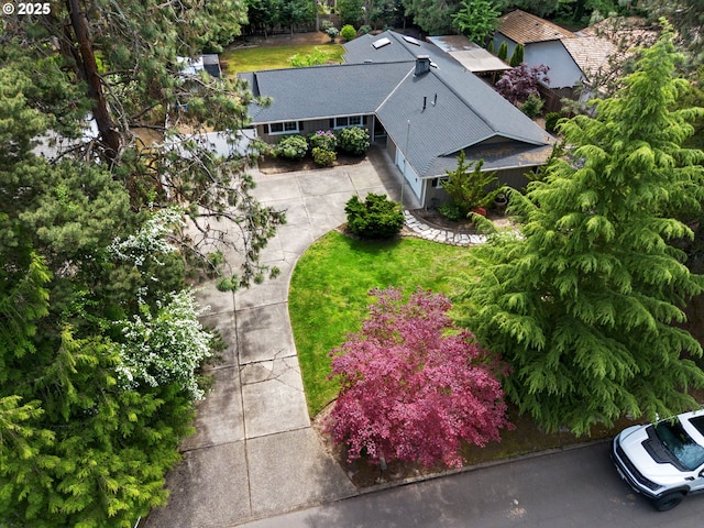 bird's eye view
