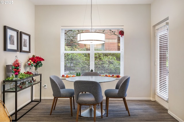 view of dining space