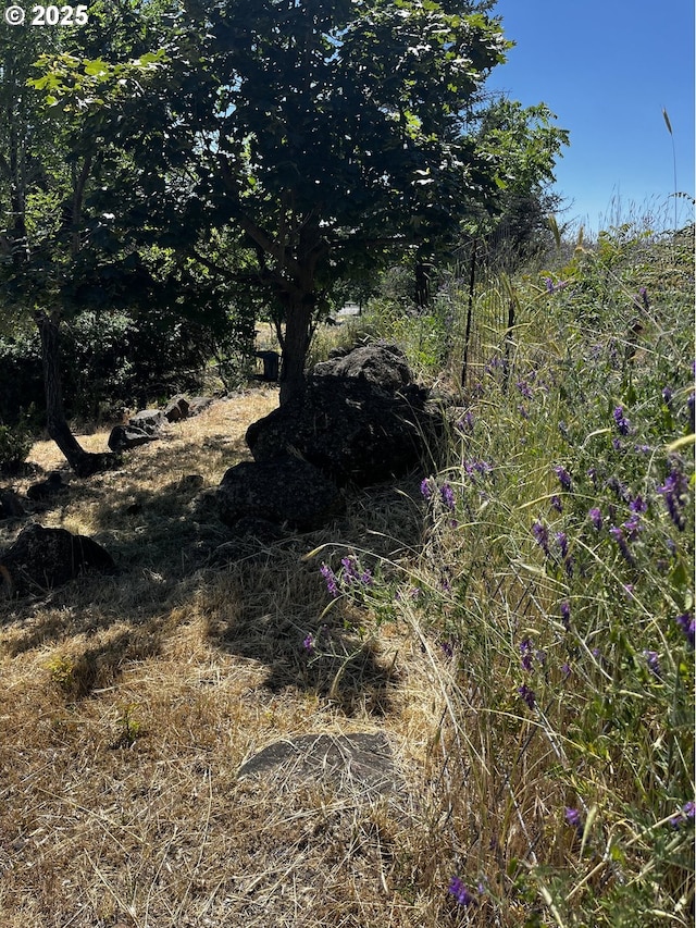 475 Burnham Ave, Maupin, OR 97037 - view of undeveloped land