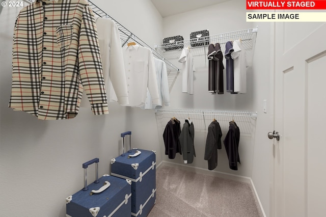 walk in closet with carpet