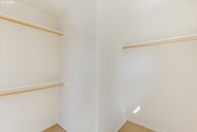 spacious closet with light colored carpet