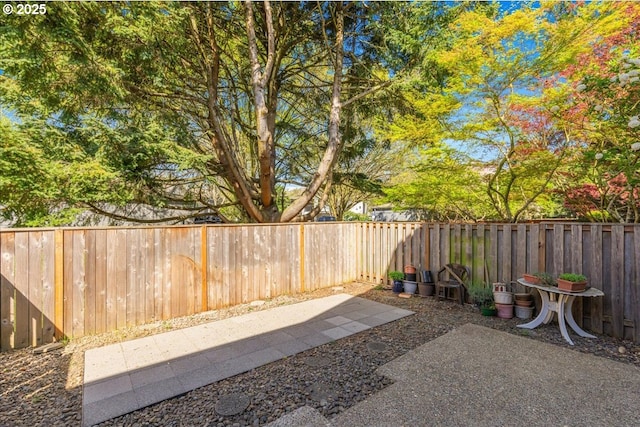 view of yard with a fenced backyard and a patio