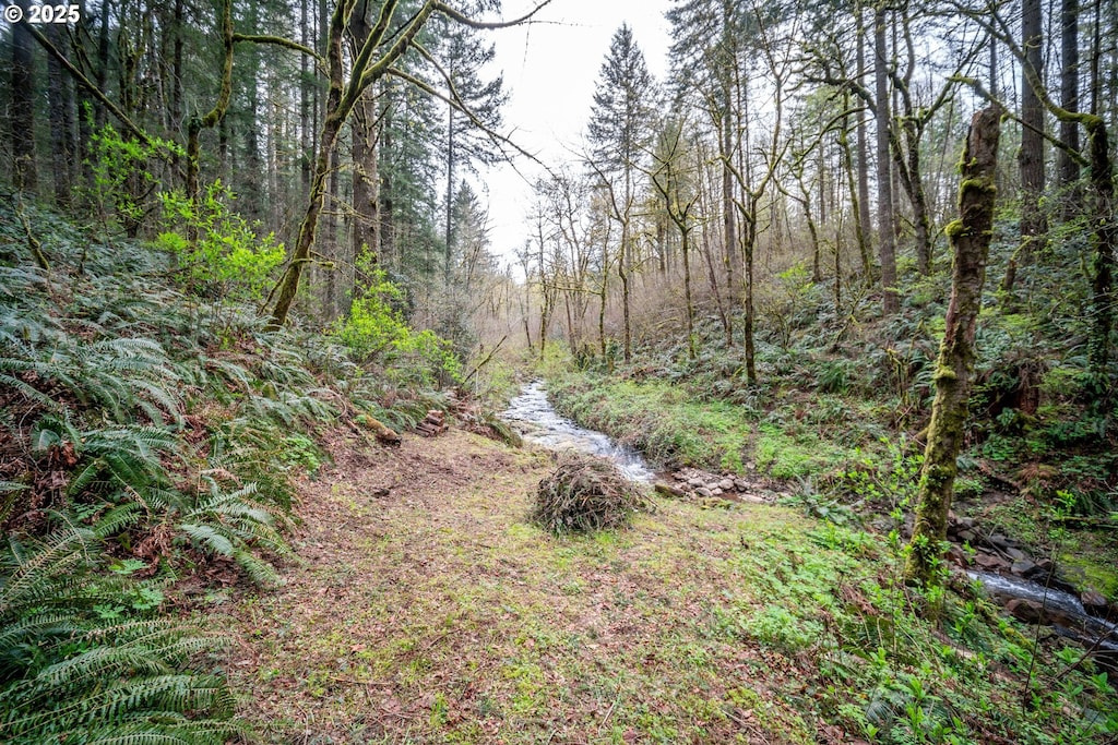 0 NE 181st Ave, Yacolt, WA 98675