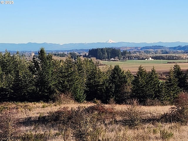 3340 SW Redmond Hill Rd, Mcminnville, OR 97128 - view of mountain background