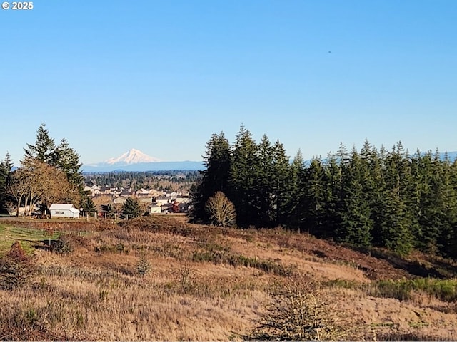 3340 SW Redmond Hill Rd, Mcminnville, OR 97128 - mountain view