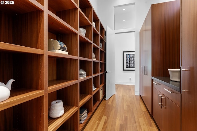 4140 NW Thunder Crest Rd, Portland, OR 97229 - spacious closet featuring light wood-style flooring