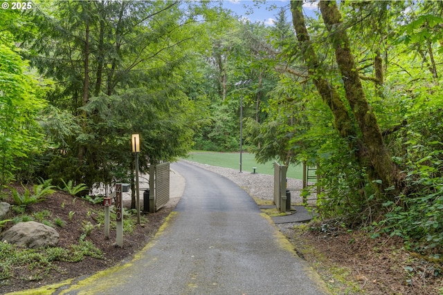4140 NW Thunder Crest Rd, Portland, OR 97229 - view of road