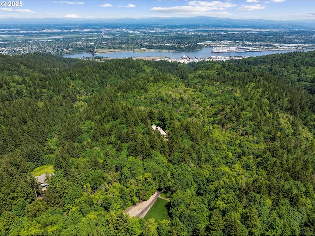 4140 NW Thunder Crest Rd, Portland, OR 97229 - bird's eye view of a forest and a large body of water