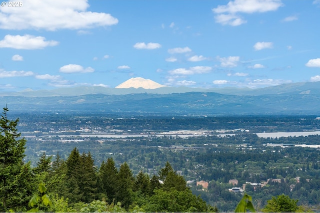 4140 NW Thunder Crest Rd, Portland, OR 97229 - mountain view