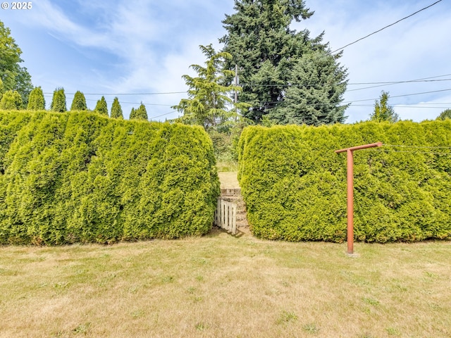 7804 NW 1st Ave, Vancouver, WA 98665 - view of green lawn