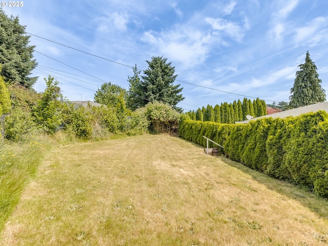 7804 NW 1st Ave, Vancouver, WA 98665 - view of green lawn